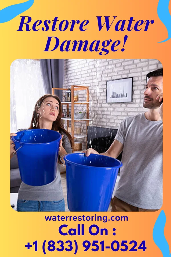 water restoration Ace Sewage Cleanup Co Hartland